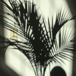 Meet your Posher, Delaney